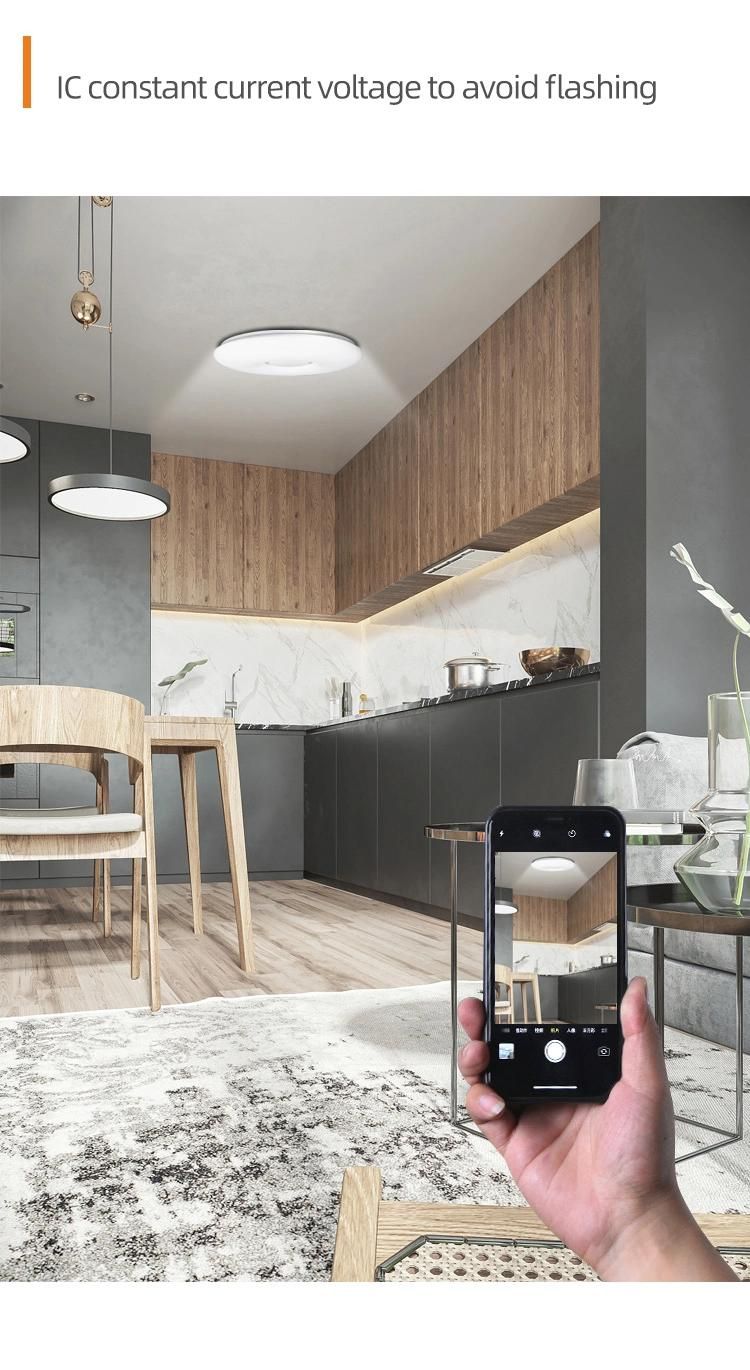 New Indoor IP65 LED Ceiling Lamp Nordic WiFi Ceiling Light
