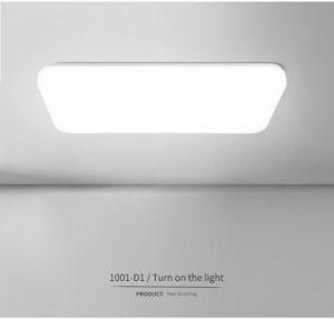 Frameless Simplicity Asian Popular LED Ceiling Lights for Kitchen, Living Room 30W 500X180