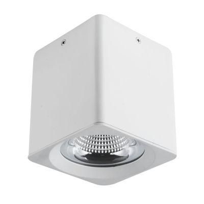 Dali Dimmable Square Ceiling Lamp LED Spotlight COB Downlight for Hotel Lighting