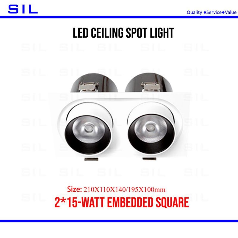 LED 2*15W/30W Modern Ceiling Spot Lighting Recessed Downlight Adjustable Light with CE RoHS