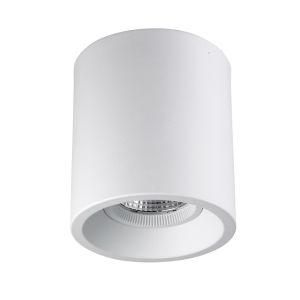 LED Surface Mounted Downlight Aluminum Housing High Power with Built-in Driver C3-2200