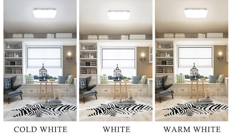 20W 30W 40W Waterproof IP65 Residential Dimming LED Ceiling Light