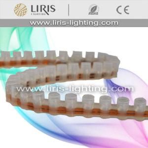 LED Strip (Greatwall Strip, Strawhat LED Waterproof)