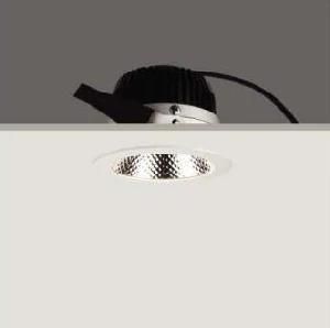 40W COB LED Recessed Downlight Ceiling Lamp (R3b0385)