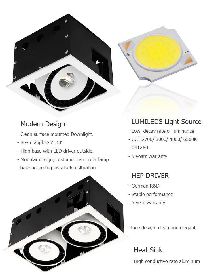 Double Head LED Downlight Deep Recessed Grille Light