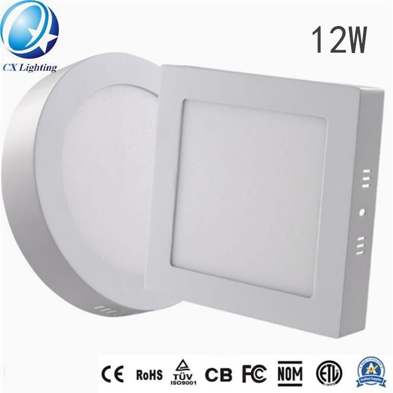 Surface Mounted Square Ceiling Light Fixture Small Panel Lighting