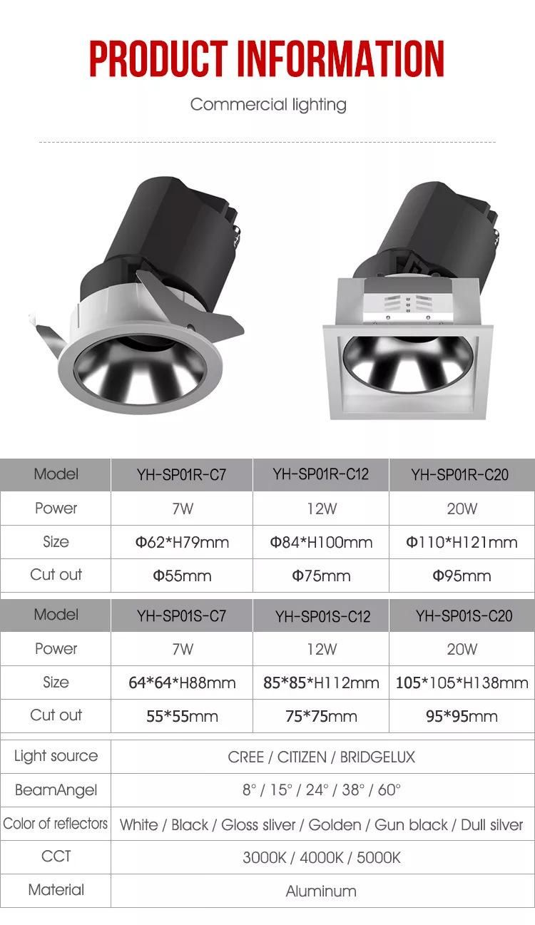 Multi-Shape and Multi-Style Can Be Selected COB LED Down Light