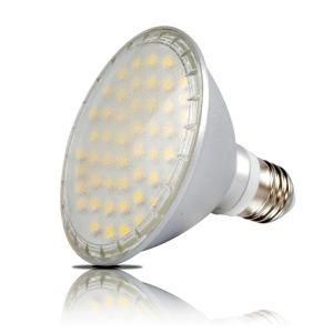 LED SPOT LIGHT Light PAR30 10W