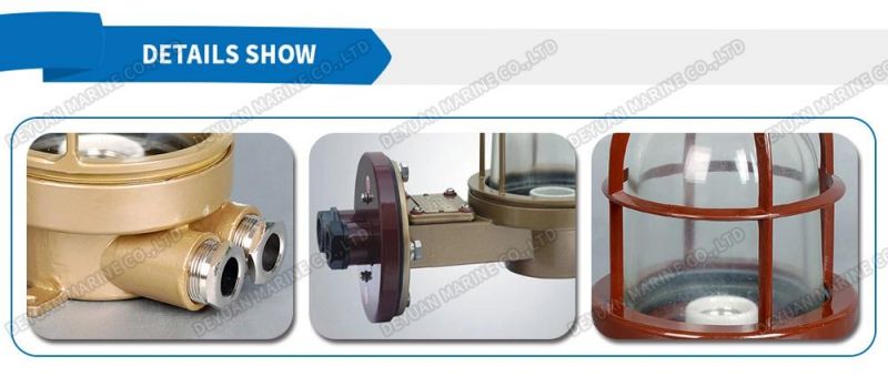 Cxh9-5 Steel Marine Emergency Light 30W for Ships