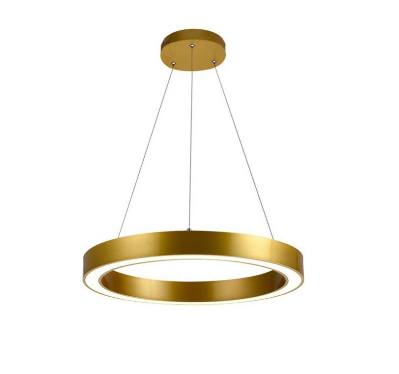 Masivel Lighting Modern LED Decorative Pendant Light Indoor Home LED Chandelier Light