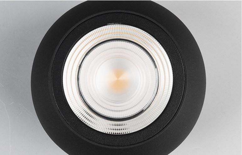 12W Hot Sale LED Ceiling Light Moder Decoration Pendant Downlight
