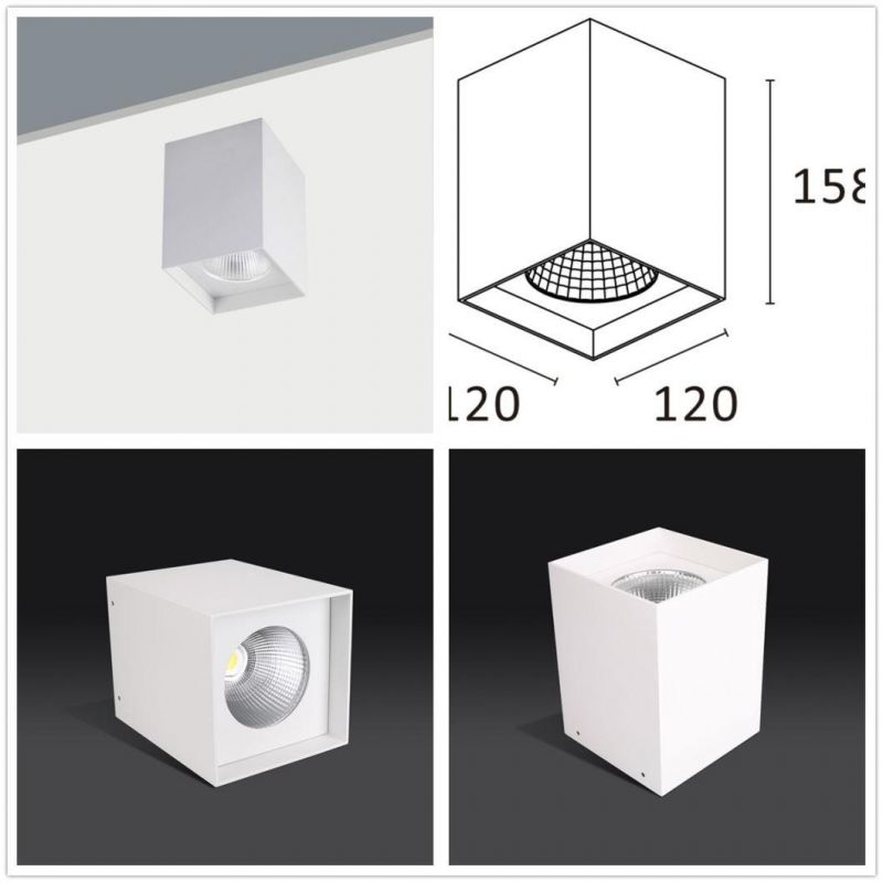 Dimmable Pure Aluminum High Efficiency COB LED Surface Mounted Light