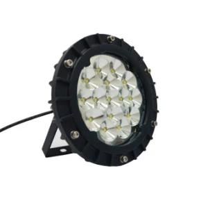 High Protective LED Highbay Light (BEZ 220/30 55 Y)