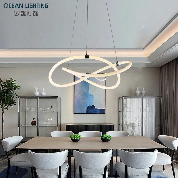 Modern Indoor LED Hanging Lighting 30W Lamp Light Pendant Light