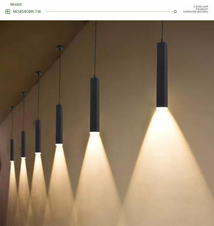 Modern Northern Europe Black 5W Commercial LED Drop Ceiling Pendant Lighting