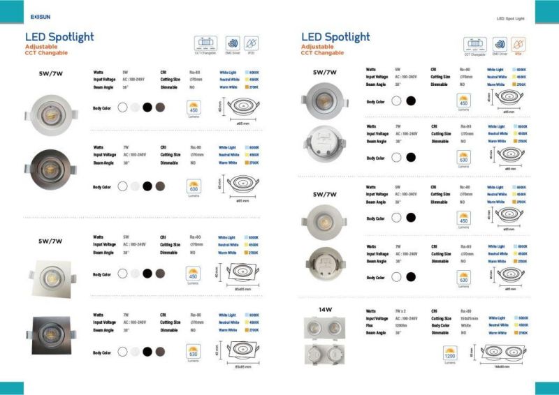 IP20 Rotable CCT Changing Spot Light Decorative Ceiling Light