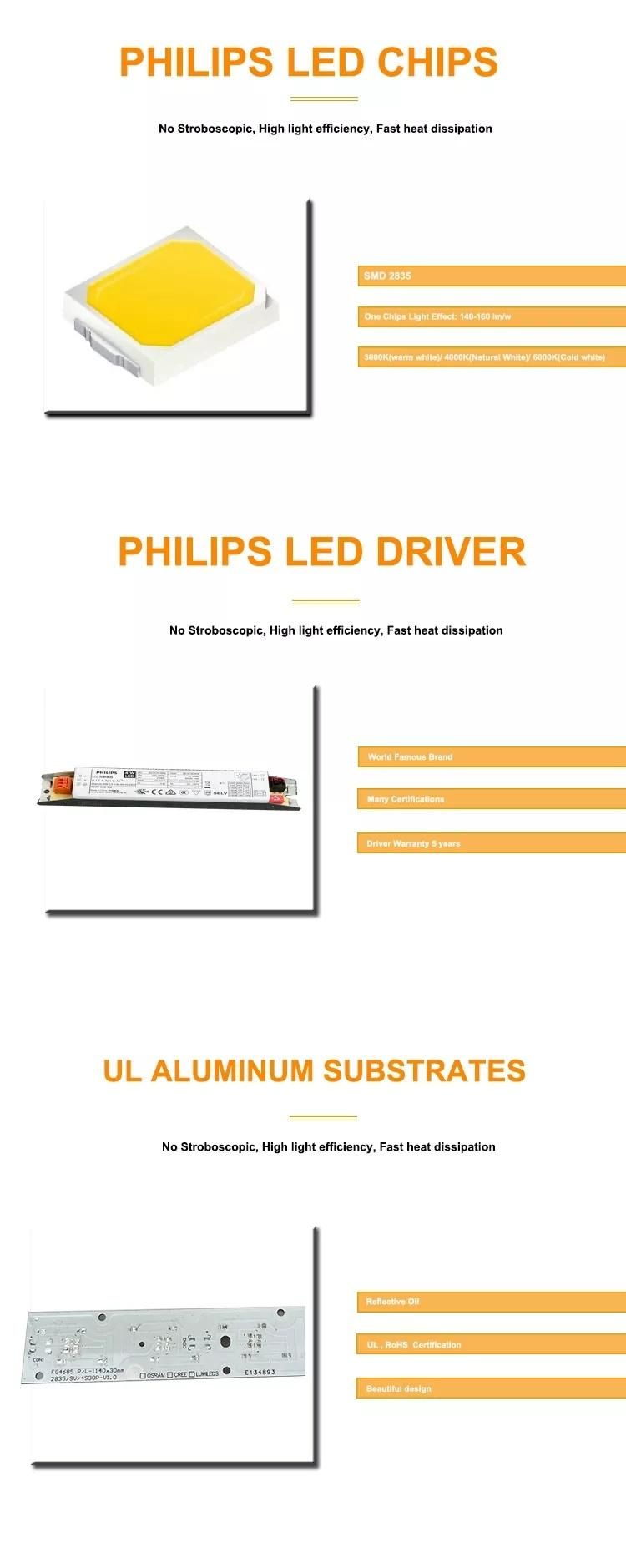 Unique Design Dali 36W 60W 80W Suspended Batten Tube Light Linear Interior LED Lighting for Office Supermarket