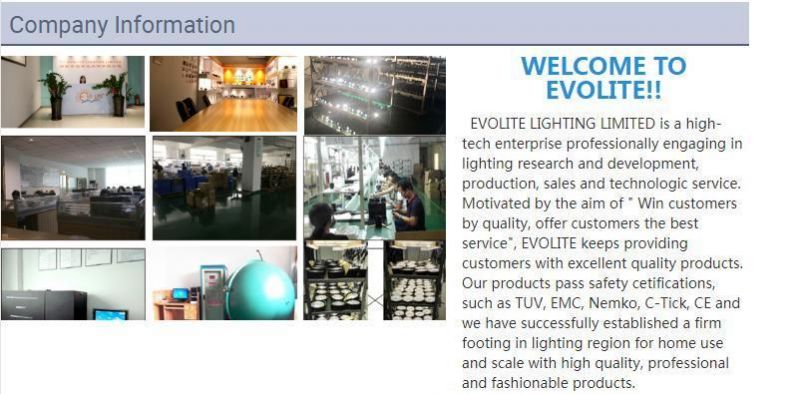LED SMD Downlight LED Line Light Evo-Ll-5t LED Spotlight