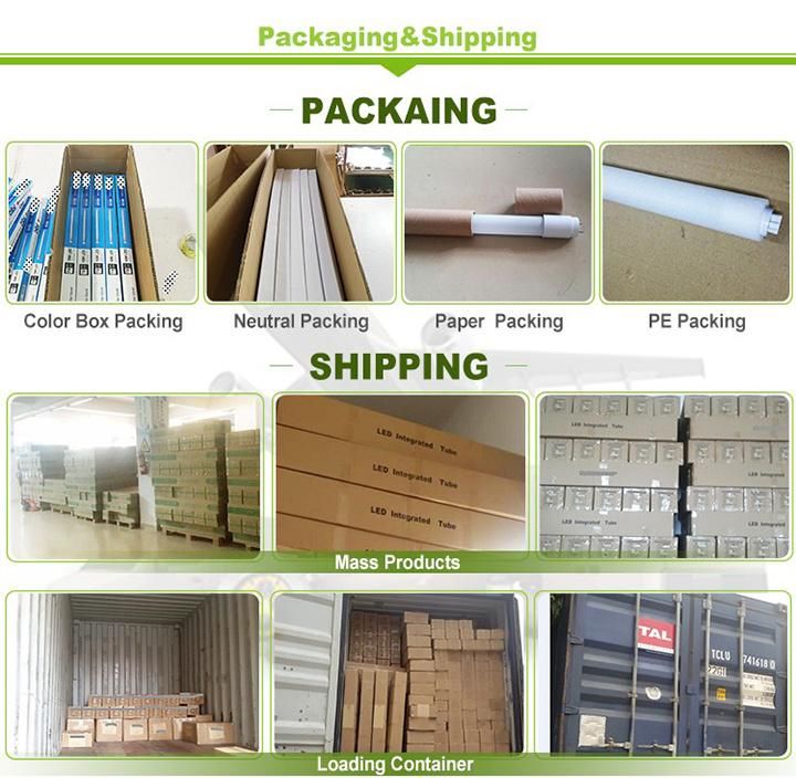 Factory Hot Sale 60cm 120cm 2FT 4FT 9W 18W Glass LED Tube T8 6500K LED Tube Fluorescent Light