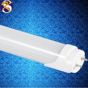CE/RoHS T8 LED Tube Lights