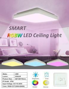 LED Ceiling Light 30W 2400lm 3000-6000K Square LED Flush Mount Ceiling Lighting Fixture for Kitchen, Bedroom, Living Room, Laundry Closet Room