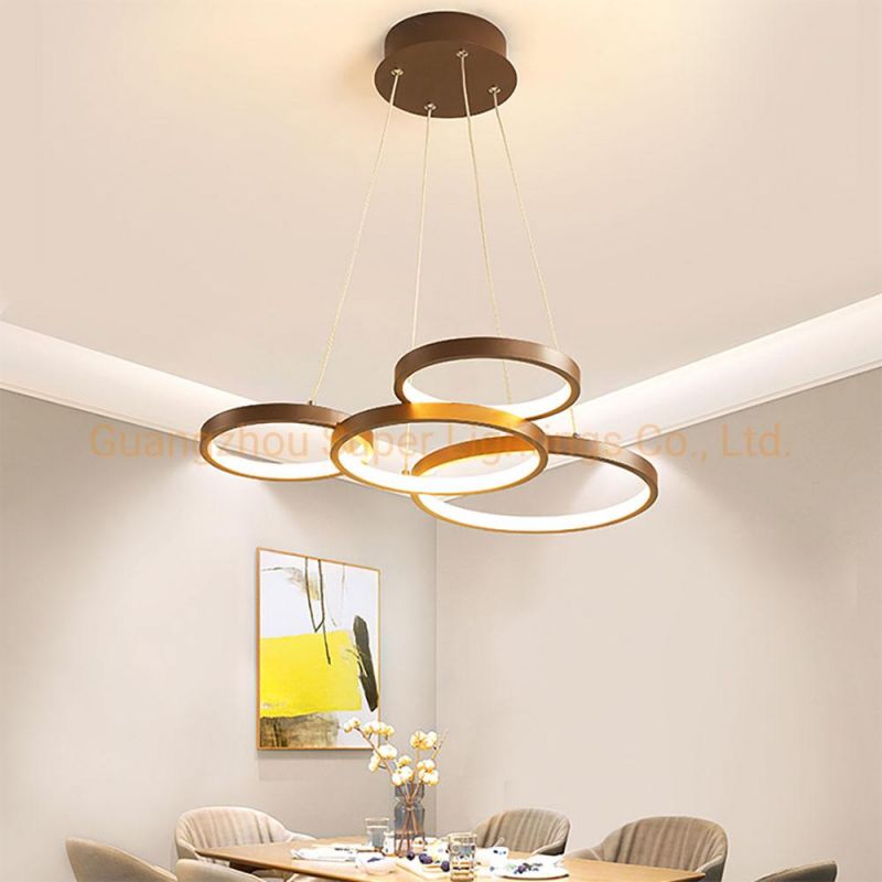 Modern Chandeliers Pendant Lights LED Indoor Ring Lighting