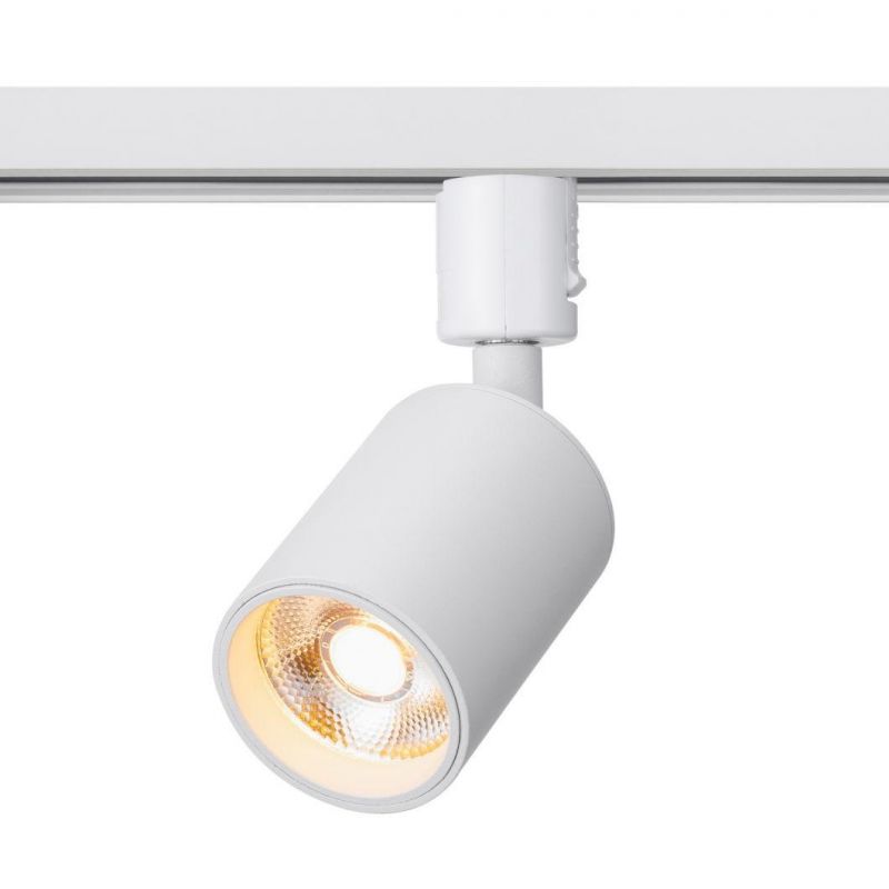 Postmodern LED Light 8W Track Light for Indoor Project 3 Years Warranty