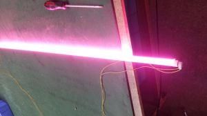 LED Fleshcolor Tube Lamp