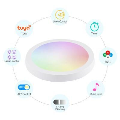 Eco Friendly Unique Cx-Lumen Professional Design Smart Panel Light Effect