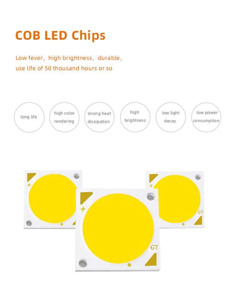Recessed COB LED Mini Downlight LED Spotlight 502
