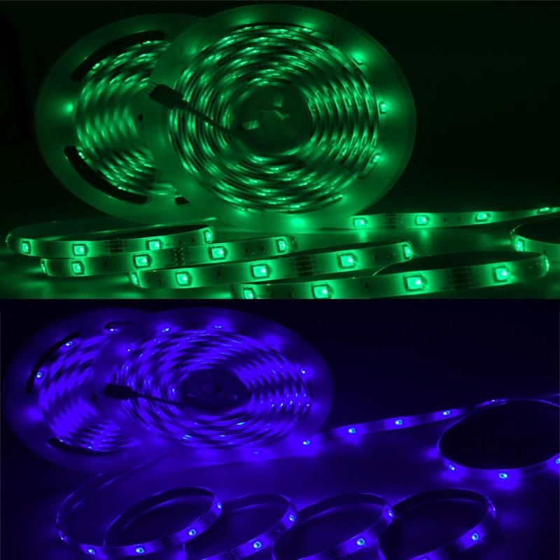 120LED/M 5050 LED Strip Lights IP65 RGB Lighting 12V 24V