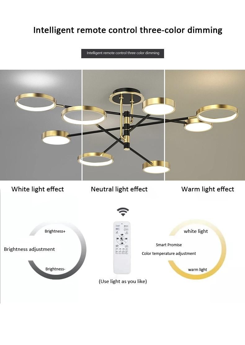 Nordic Surface Mounted Luxury Living Room Bedroom Smart Home LED Light Ceiling Lights