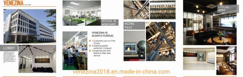 Venezina High Quality Factory Price for Recessed LED Down 6W/10W IP20 Light