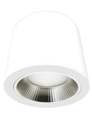 Customer Order High Lumen Hotel Project LED 52W Bulb Recessed COB Spotlight Down Light