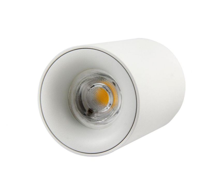 GU10 Surface Mounted Downlight for Chain Store 3 Years Warranty IP20