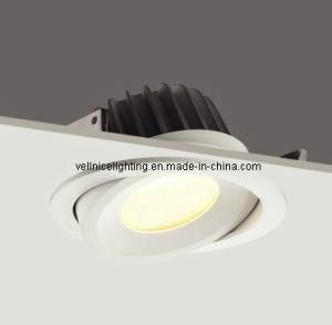 COB 13W LED downlight (R3B0132)