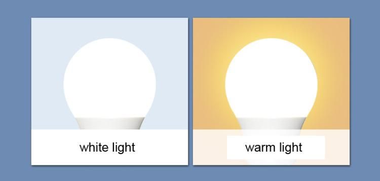 12V 24V DC 5W LED Bulb