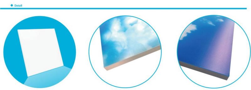 Customized 600*600mm Frameless LED Panel Light with Blue Sky Picture