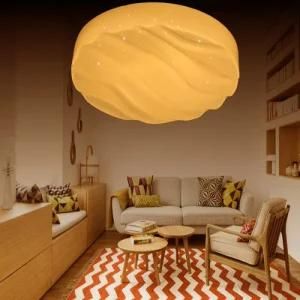 [Dalen] 24W Morden Stylish Living Room LED Ceiling Lights, Color Changing Adjustable, Smart Remote Control Room Lamp