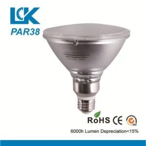 10W 1000lm PAR38 LED Light Bulb