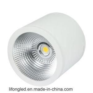 Big High Power 50W Cylinder COB LED Downlights with Surface Mounted Installation