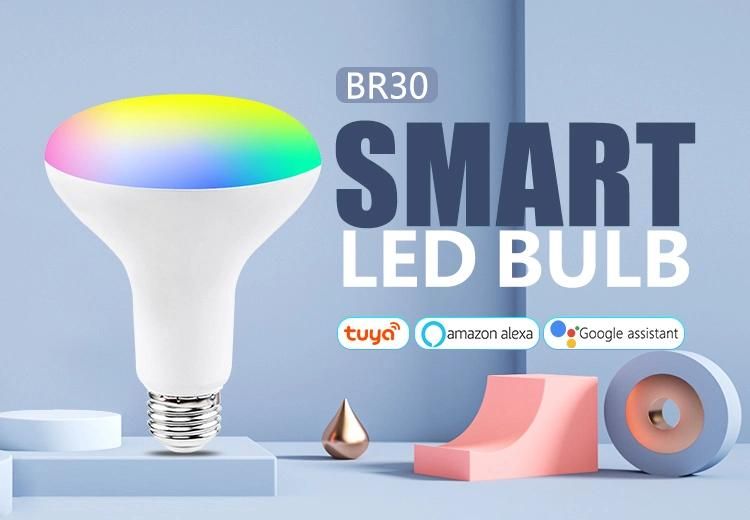 Group Controlled Dimmable RGB 9W Br30 Indoor Smart LED Bulb