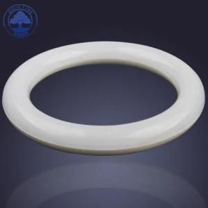LED Circular Tube LED Ring Tube 225mm 300mm (PR-225H96)