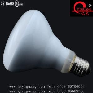 Hot Sale Infrared Lamp R95 LED Filament Bulb