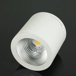 Three Year Warranty LED Ceiling Light 40W Surface Mounted LED Downlight