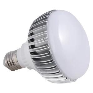 12W Bulb Light