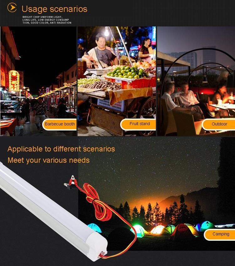 Cheap T8 Lights LED DC 12V Light Tube 15cm 30cm 60cm 120cm with Clip