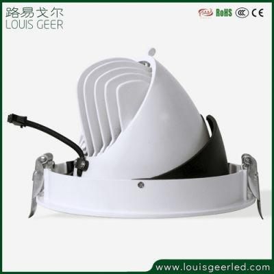 High Quality Flush Mounted Rotating COB LED 30W Spot Light LED Spotlight LED Light