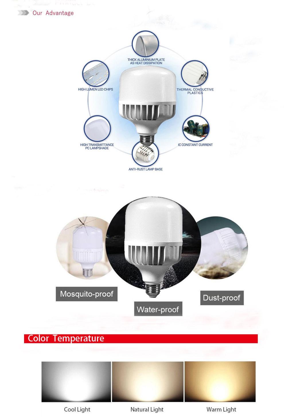 T100 30W High Power Lumen Die-Casting Aluminum LED Light Bulb