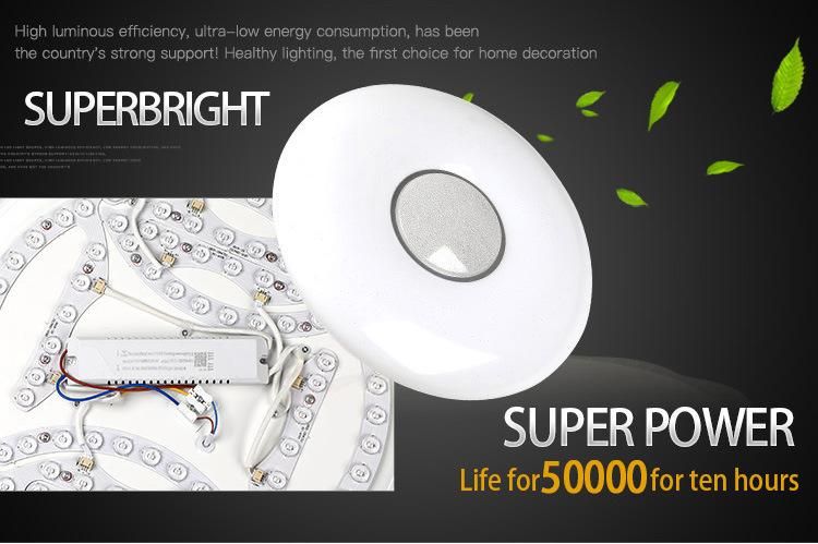 20W 220vflush Decorationceil Gypsumled Ceiling Lamp with SMD Tube Ceiling Light